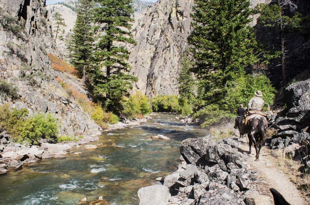 Wilderness pack trail in the Frank Church Wilderness