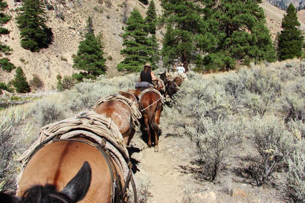 Packers on the Middle Fork