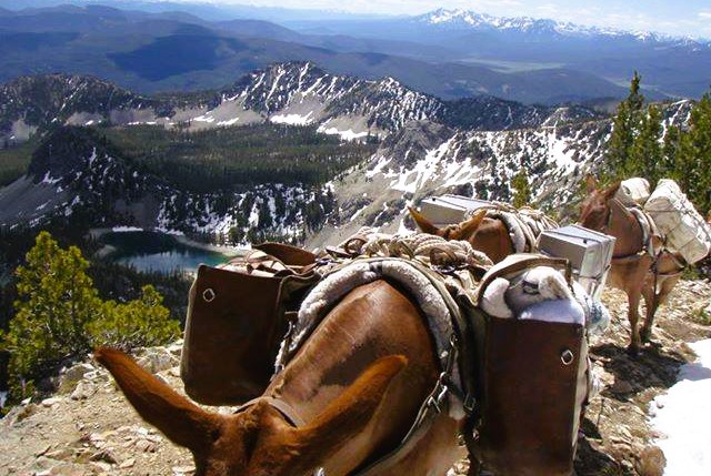 Backcountry Packer in the Frank Church Wilderness