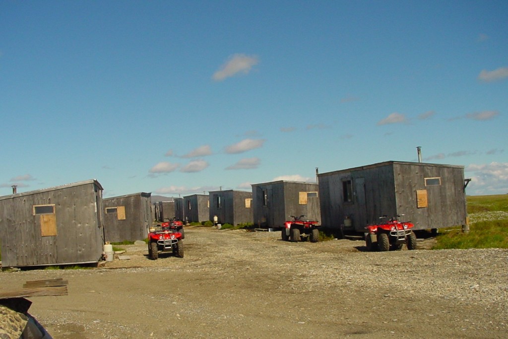 Gold prospecting camp